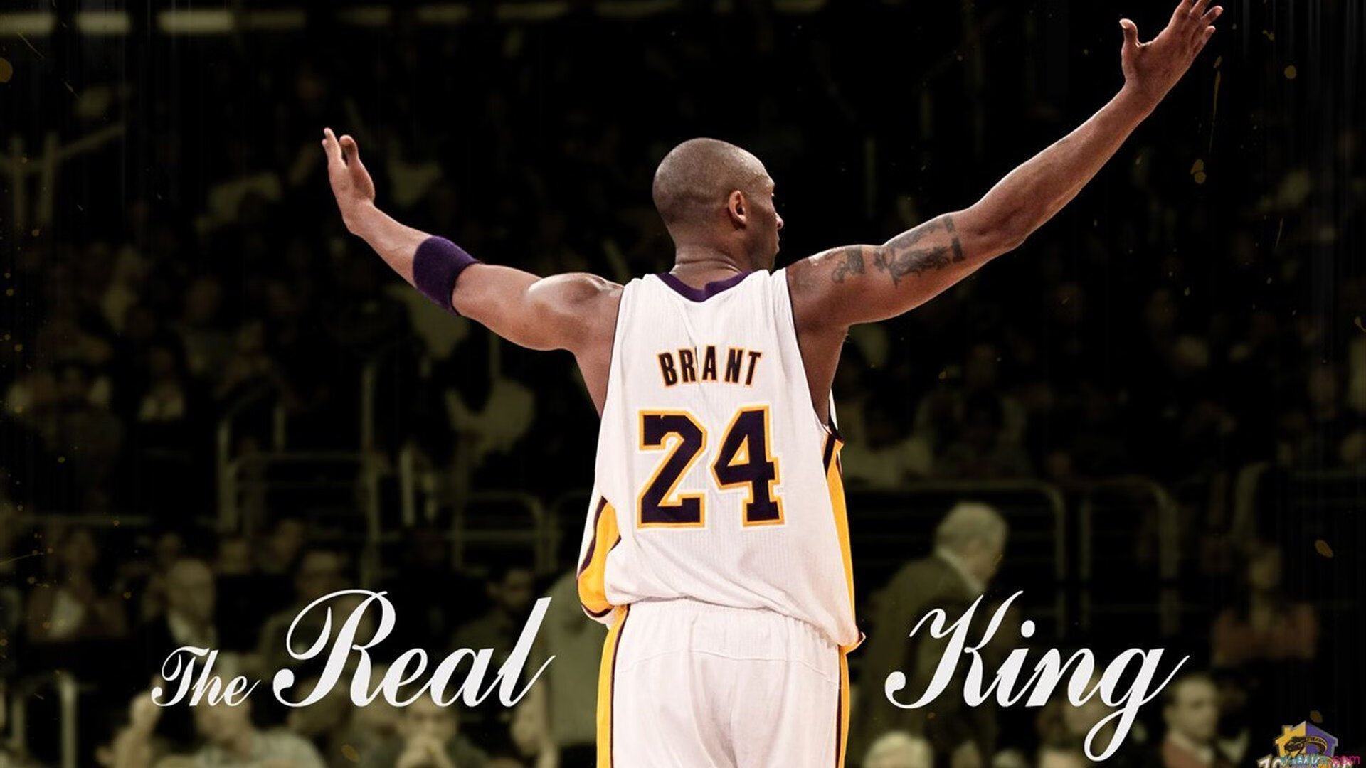 戴维·帕特森精准的场上指挥和稳健的传球，使袋鼠队掌控局面，佩特·戴维森